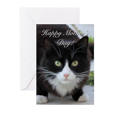 happy mothers day cat greeting cards  worldofkitties