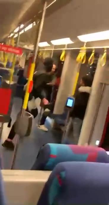 dumpert vechtpartij  de metro