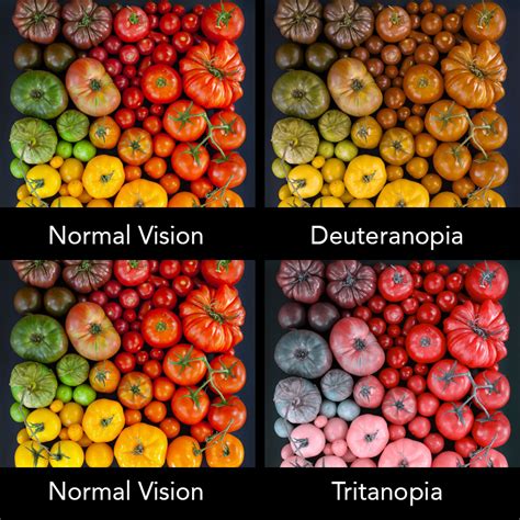 color blindness designing    set  eyes