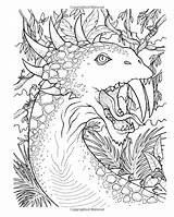 Dragons Ladin Fantastical Tabitha sketch template
