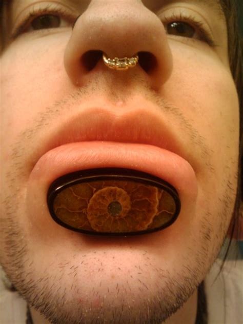 stretched labret and septum piercing body modifications body mods