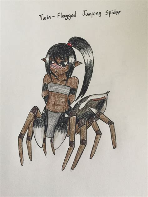 Image Twin Flagged Jumping Spider Arachne Jpeg Monster Girl