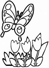 Butterfly Coloring Flower Simple Sanaz sketch template