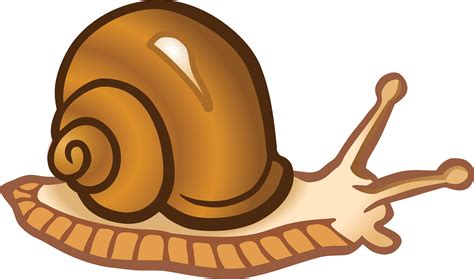 clipart   snail