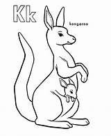 Coloring Kangaroo Pages Printable Onlycoloringpages Colouring Print sketch template