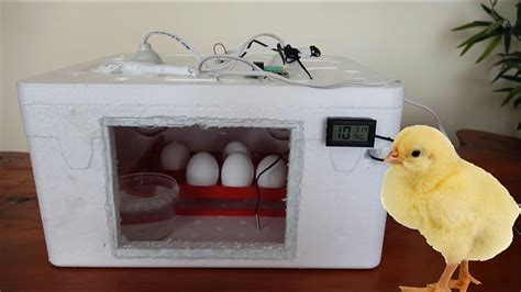 Diy Homemade İncubator How To Make Egg Incubator Youtube