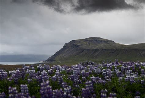 luoghi da visitare nella penisola  snaefellsnes islanda viaggiamo