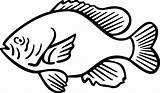 Sunfish Clipart Drawing Outline Clipground Drawings Getdrawings Coloring sketch template