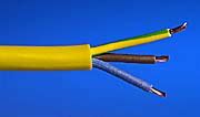 amp  pin plug yellow lewden pmfpb