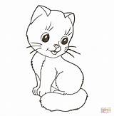 Coloring Pages Kitten Print Online sketch template