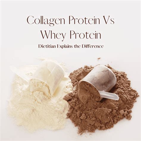 collagen protein  whey protein dietitian explains  difference