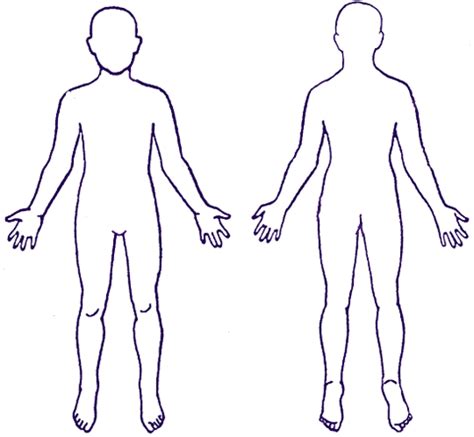 outline   human body clipart
