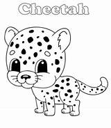Cheetah Cub sketch template