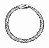 Ouroboros Self Circle Serpent Itself Reflexivity Fa Oroboros Bracelet Occult sketch template