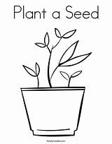 Coloring Plant Seed Potted Print Ll sketch template