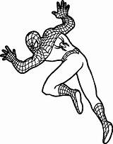 Coloring Spider Wecoloringpage Man Pages Spiderman Superheroes Cartoon sketch template