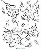 Fall Coloring Pages Printable Kids sketch template