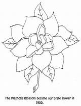 Magnolia Louisiana Bestcoloringpagesforkids Coloringhome sketch template