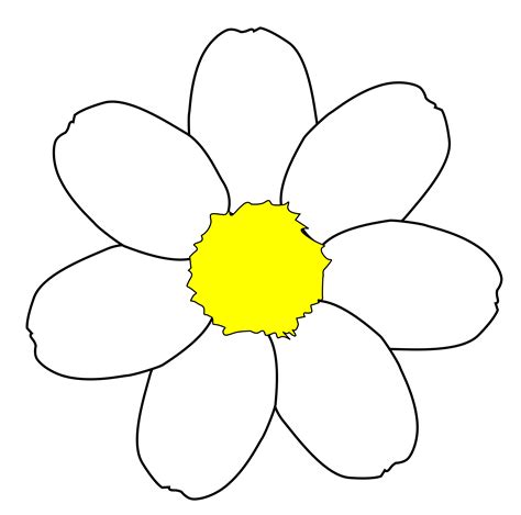 flower petal drawing clipart  images   finder