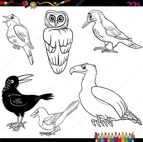 Dibujos Animados Aves Para Colorear Página Imagen