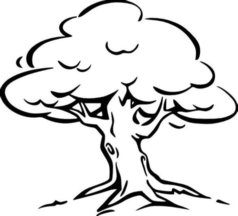 oak tree oak tree coloring page  kids coloring pages