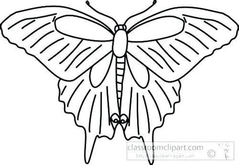 butterfly wings coloring pages colouring  skywarninfo witch