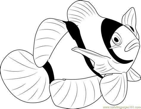 clown fish coloring pages printable coloring pages