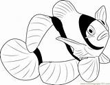 Coloring Clown Clownfish Coloringpages101 Fishes sketch template