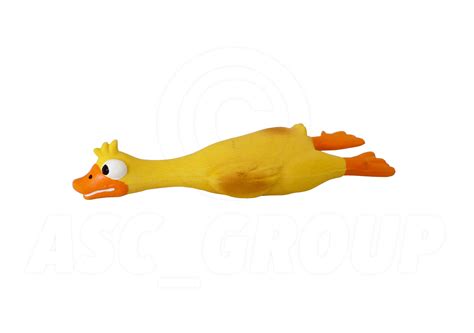 latex rubber duck squeaky dog toy ebay