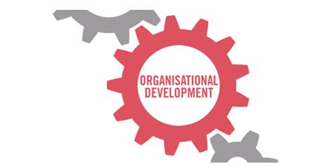organizational development  phases benefits process