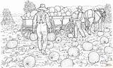 Coloring Harvest Pages Field Farmers Pumpkins Printable Gather Drawing Pumpkin Color Houses Harvesting Da Farmer Fields sketch template