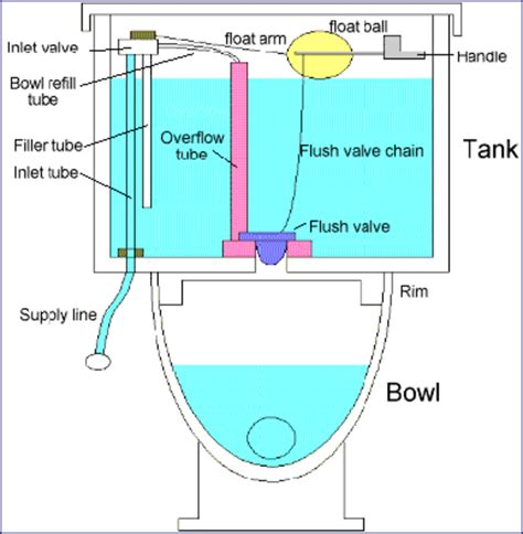 toilet work toilet basics  hubpages