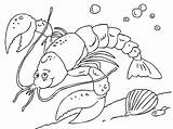 Lobster Coloring Pages Sea Lobsters Color Fish Seaside sketch template