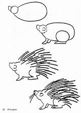 Porcupine Coloring Drawing Pages Bestcoloringpagesforkids Draw Sheet Kids Getdrawings Easy sketch template
