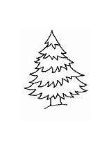 Coloring Winter Pages Tree Trees Evergreen Printable sketch template
