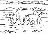 Nashorn Malvorlage Wildtiere Malvorlagen Kinder sketch template