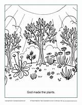God Coloring Plants Made Bible Creation Pages Children Sheets Jesus Kids Promises Holy Spirit Colouring School Printable Sunday Activities Genesis sketch template