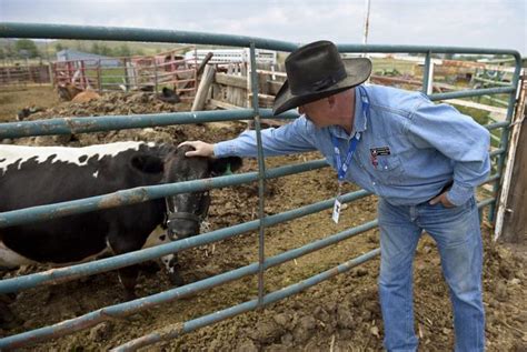 Our Livestock Cop New Boulder County Brand Inspector Relishes Legacy