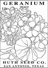 Coloring Dover Packet Packets Blumen Doverpublications sketch template