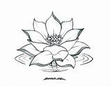 Lotus Coloring Flower Drawing Pages Water Blooming Clipart Printable Color Flowers Adult Print Cliparts Mandala Colour Tattoo Getdrawings Pencil Getcolorings sketch template