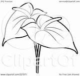 Anthurium Outline Flowers Clipart Coloring Illustration Two Mandela Nelson Royalty Rf Lal Perera Pages Background Getcolorings Version sketch template