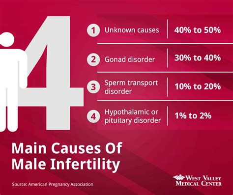 Truth And Lies About Male Fertility West Valley