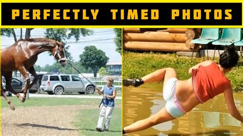 most perfectly timed photos ever youtube