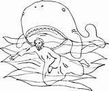 Jonah Jona Wal Historia Humpback Coloring4free Balena Prophet Giona Jonás Profeta Baleia Supercoloring Malvorlage Biblica Moses Burning Ballena Runaway sketch template