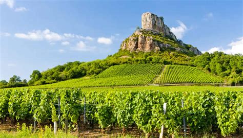 wijnreizen en wijnvakanties duitsland frankrijk en italie tip