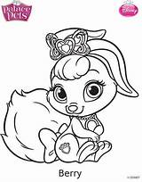 Pets Palace Princess Disney Para Colorir Berry Coloring Ler Bibbidy Summer Desenhos sketch template