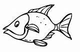 Fisch Fische Ausdrucken Malvorlage Ausmalbild Ausmalen Gefaehrliche Malen sketch template