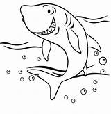 Squalo Squali Animali Requins Requin sketch template
