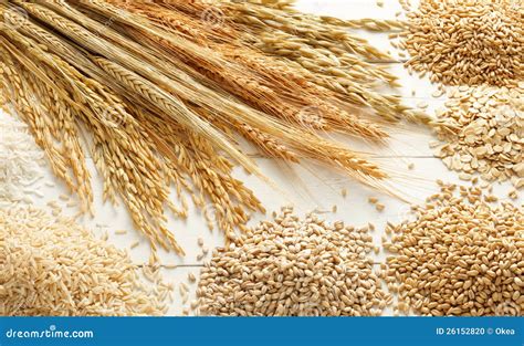 cereals  grains stock photo image  white wood