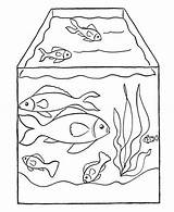 Fish Tank Drawing Coloring Aquarium Pet Nemo Pages Netart Drawings Paintingvalley sketch template